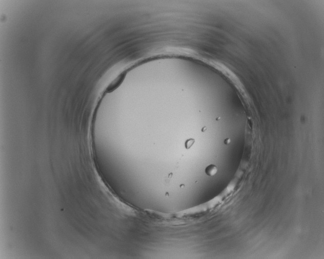 X0000073521199200608211757