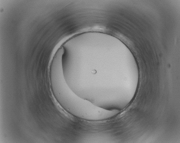 X0000073521200200608211757