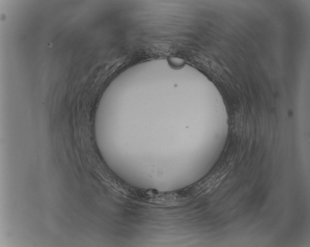 X0000073521201200608211756