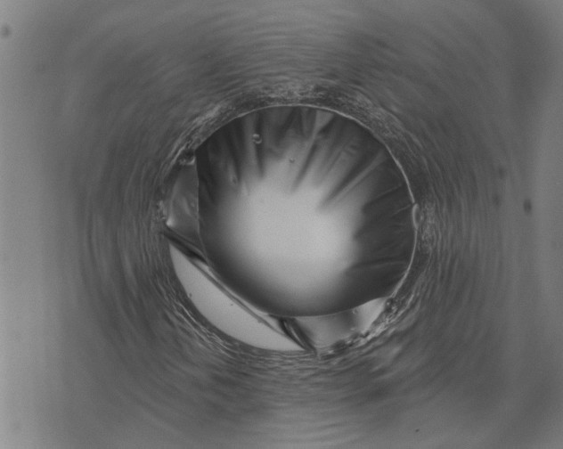 X0000073521202200608211756