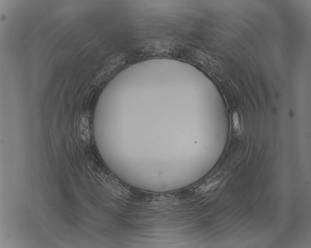 X0000073521203200608211756