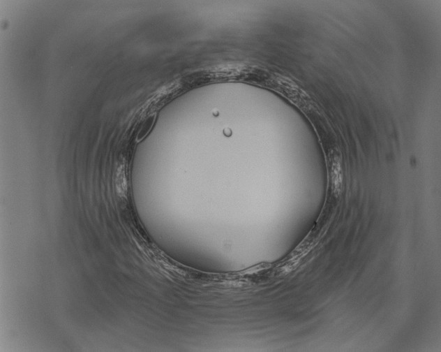 X0000073521204200608211756