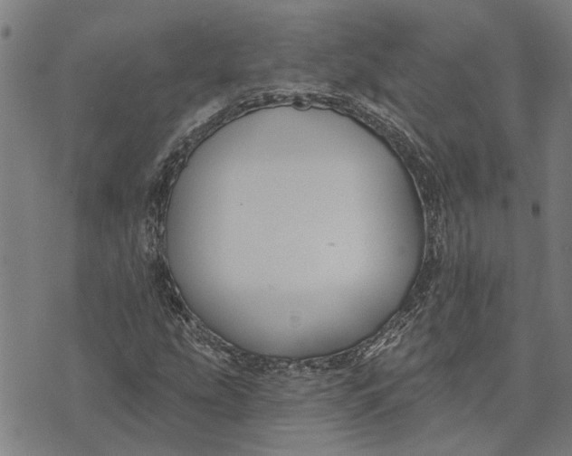 X0000073521207200608211756