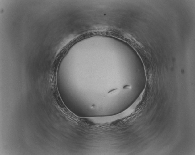 X0000073521208200608211756