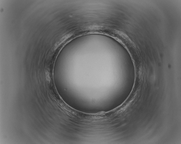 X0000073521209200608211756