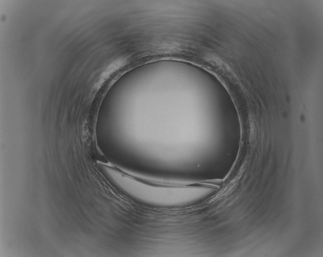 X0000073521210200608211756