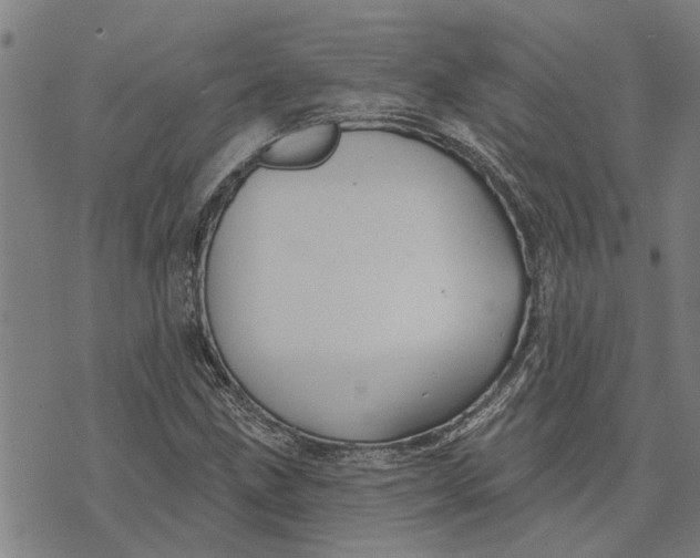 X0000073521211200608211756