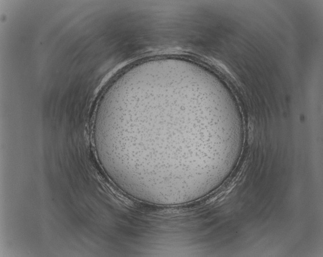 X0000073521212200608211756