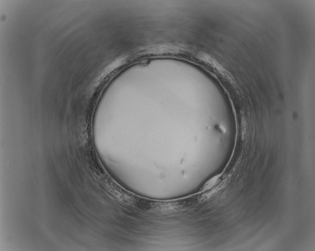 X0000073521213200608211756