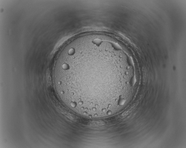 X0000073521215200608211756