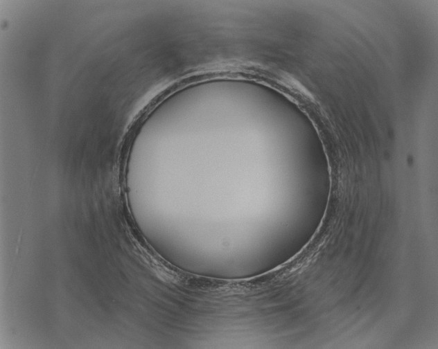 X0000073521216200608211756