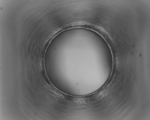 X0000073521217200608211756