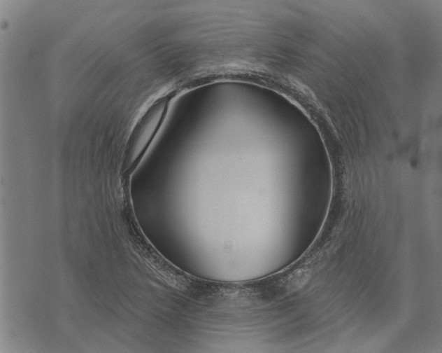 X0000073521218200608211756