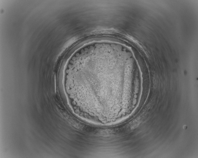 X0000073521219200608211756