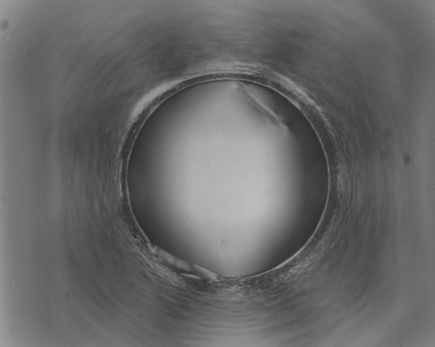 X0000073521222200608211756