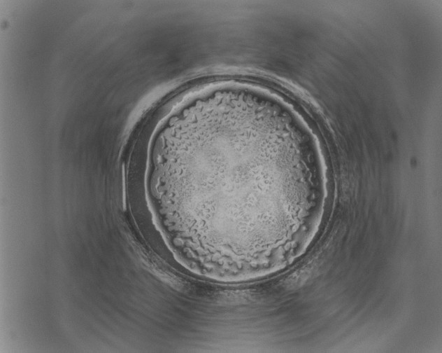 X0000073521223200608211756