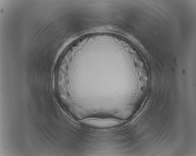 X0000073521224200608211756