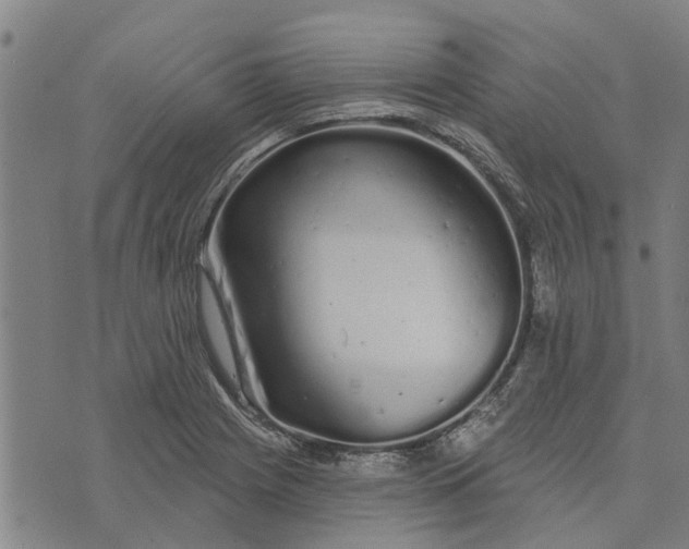 X0000073521225200608211756