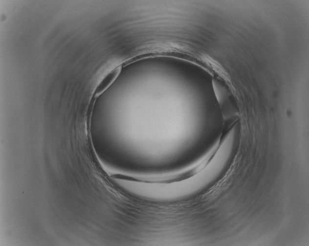 X0000073521226200608211756