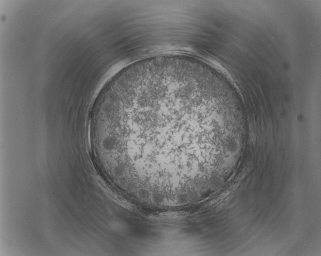 X0000073521227200608211756