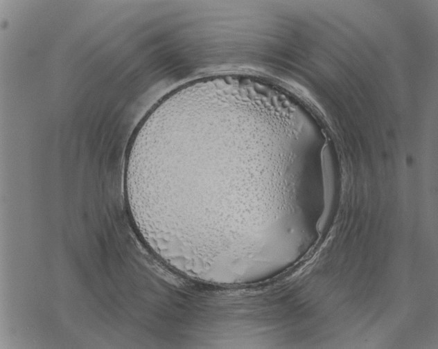 X0000073521228200608211756