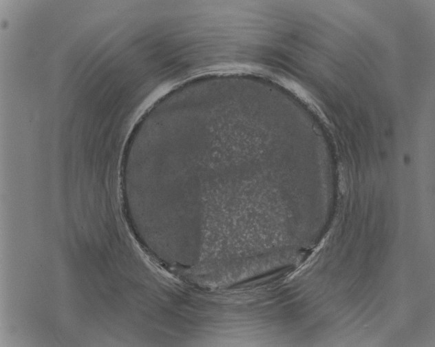 X0000073521229200608211756