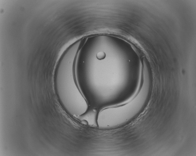 X0000073521230200608211756