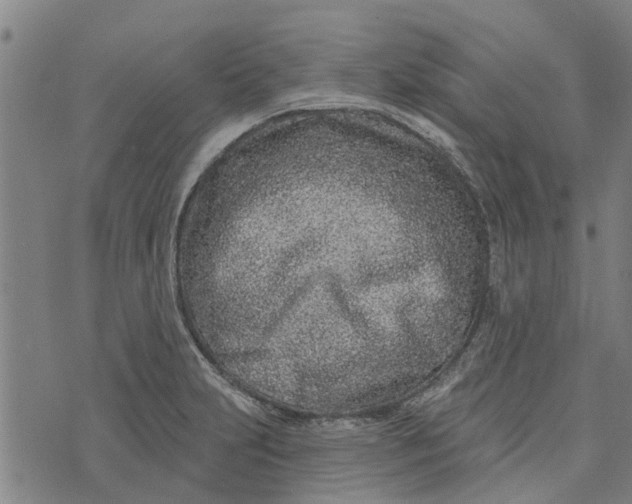 X0000073521231200608211756