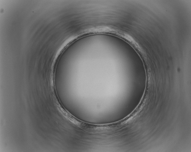 X0000073521232200608211756