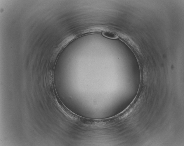 X0000073521233200608211756