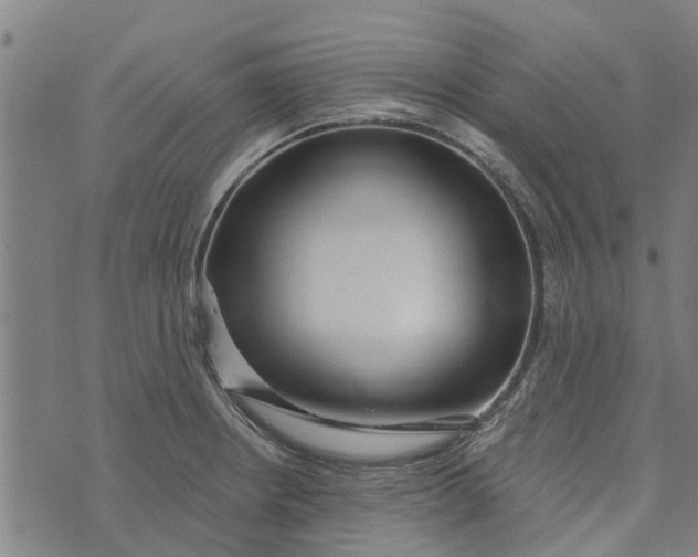 X0000073521234200608211756