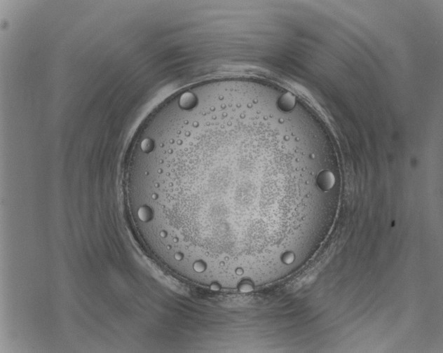 X0000073521235200608211756