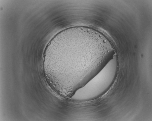 X0000073521236200608211756