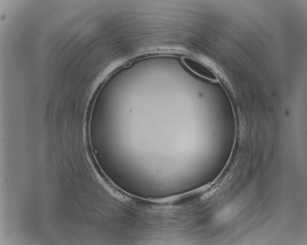 X0000073521237200608211756