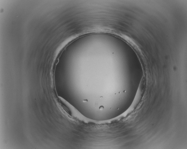 X0000073521238200608211756