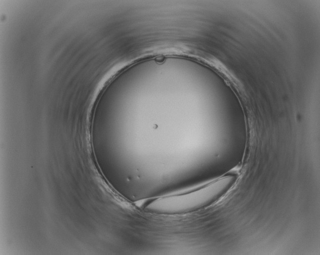 X0000073521240200608211756