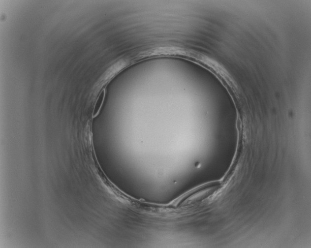 X0000073521241200608211756