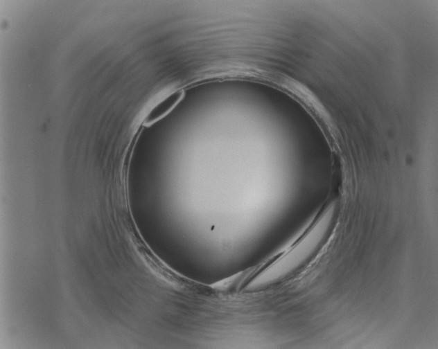 X0000073521242200608211756