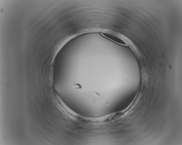 X0000073521244200608211757