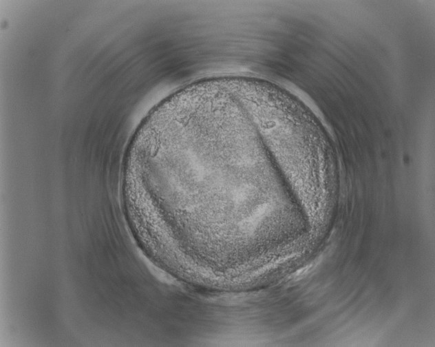 X0000073521245200608211757