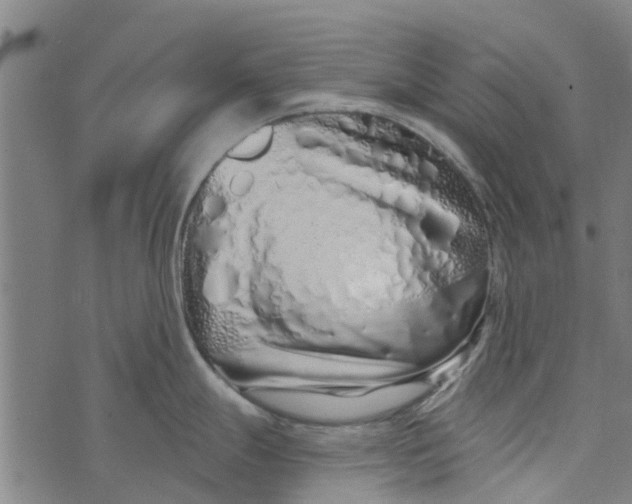 X0000073521247200608211757