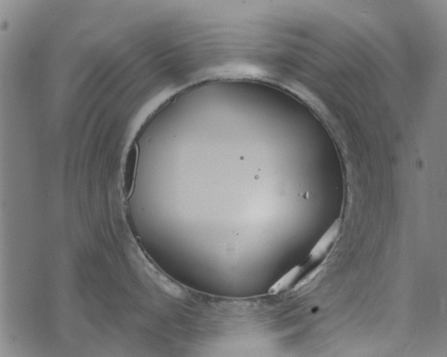 X0000073521248200608211757