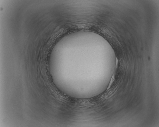 X0000073521249200608211756