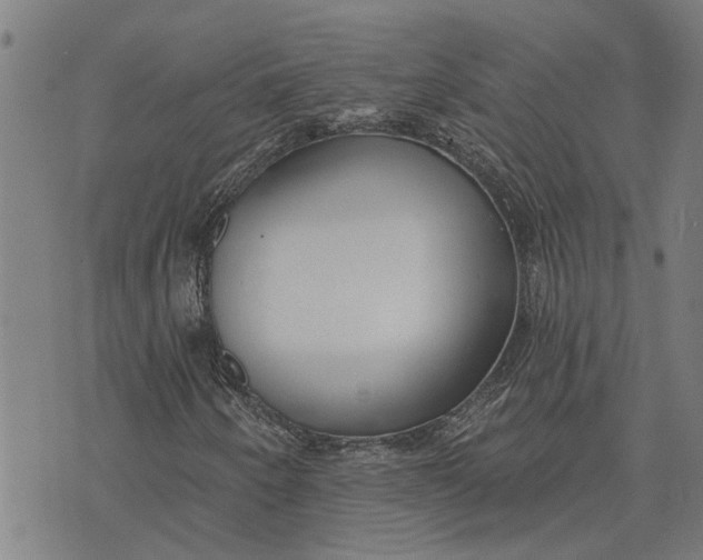 X0000073521250200608211756