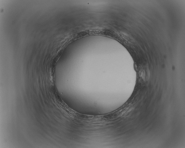 X0000073521252200608211756