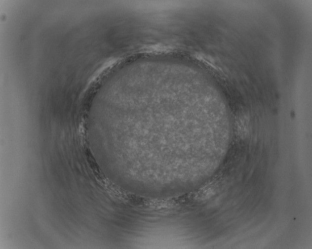 X0000073521254200608211756