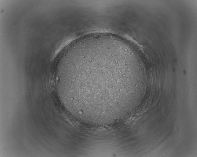 X0000073521255200608211756