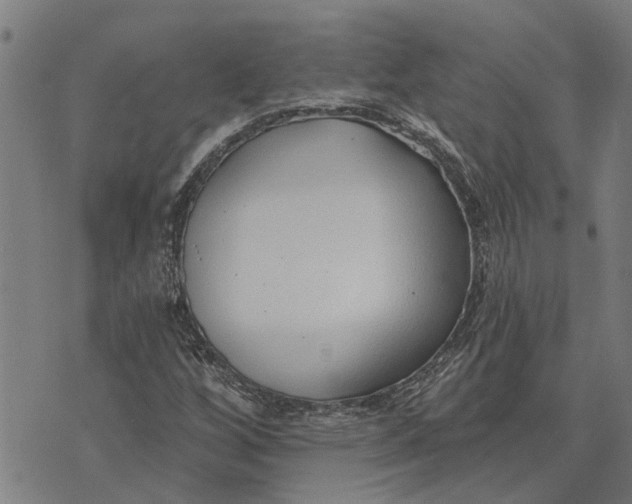 X0000073521256200608211756