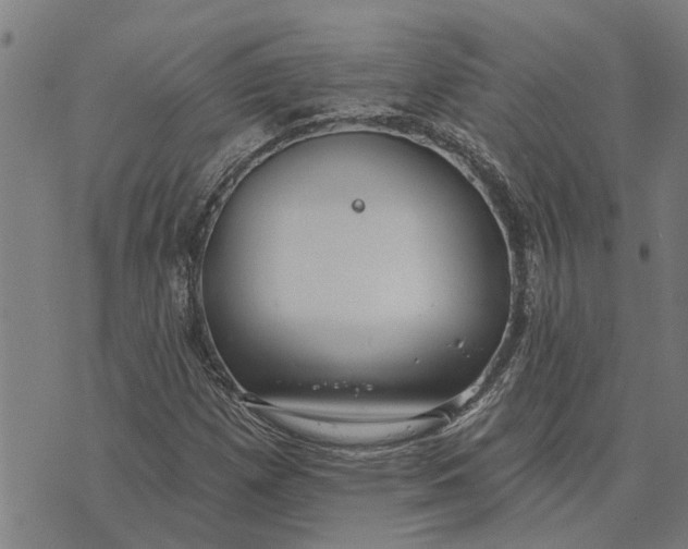 X0000073521257200608211756