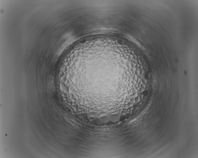 X0000073521259200608211756